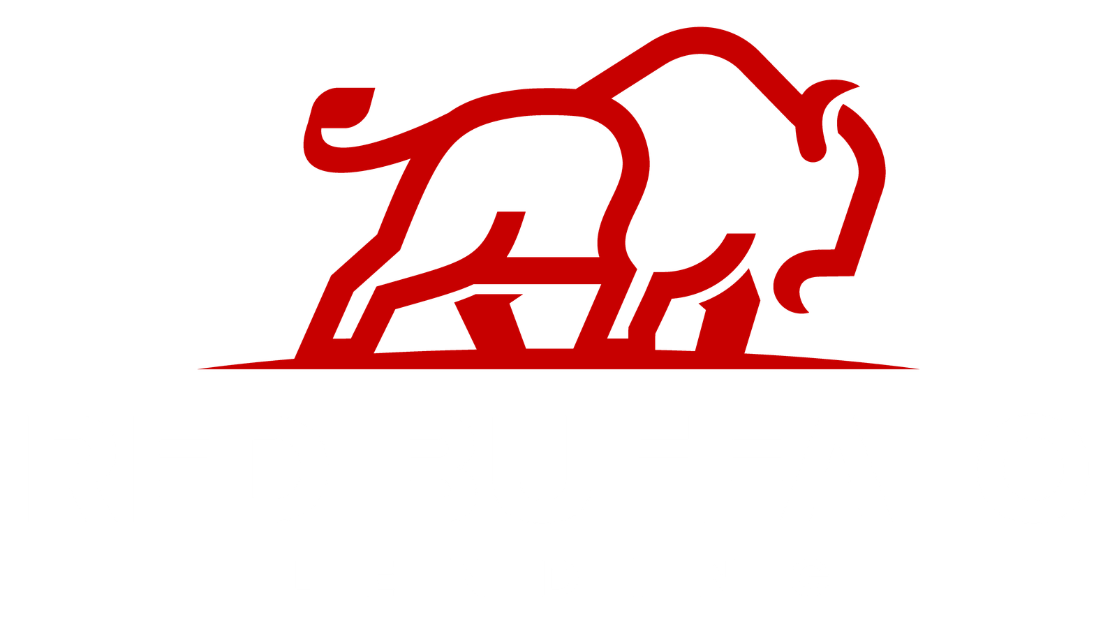 Red Buffalo Lending Logo